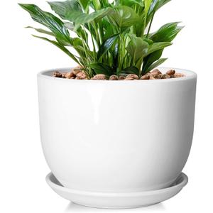 8 Inch Ceramic Planter, Plant Pots with Drainage Hole and Separable Saucer,Indoor-Outdoor Round Succulent Orchid Flower Pot,Indoor pots for Plants(Smooth White,Plant Pot only)