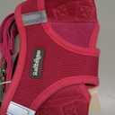 rabbitgoo Dog Harness Small Sized and Leash Set, Step in Soft Light Puppy Vest, Breathable Mesh Pet Harness, Reflective for Safe Easy Walking, Rose Red M (M (Chest: 16 - 18.5"))