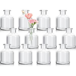 12Pcs Bud Vases,Clear Glass Bud Vase,Living Bud Vases Bulk,Mini Flower Vases,Small Vases for Flowers Centerpieces Home Living Room Office Table Decor (2 x 2.8 in)
