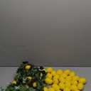 XunYee 6 ft Artificial Summer Lemon Garland with 30 Pcs 3 x 2 Inch Fake Lemons Greenery Fake Fruit Party Decoration for Home Front Wedding Shower Party Table