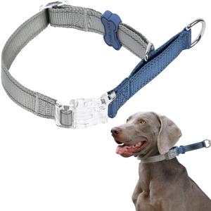 BELLA & PAL Slip Martingale Collar for Dogs, Limited Slip Design, Reflective, Escape-Proof, Gentle Control, Adjustable Training Collar with Quick-Release Strong Buckle, Nylon, Small