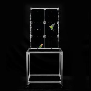 GuineaLoft™ Model-ET213 Crystal Clear Acrylic Bird Cage