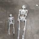 SpringFlower 5.4Ft & 3Ft Halloween Skeleton,Full Body Posable Skeletons Human Plastic Bones with Movable Joints, Halloween Decoration Indoor Outdoor Yard Lawn Garden Party Décor