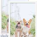 13x19 Picture Frame Set of 2, White Photo Frames High Transparent Wall Gallery Desktop Horizontal Vertical for Canvas Collage Photo Poster Certificate 13 x 19 inches