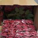 Sherr 250 Pcs Artificial Roses Flowers Bulk Fake Rose with Stem Faux Bridal Flower Centerpiece for Wedding Valentine's Day Christmas Tree Decorations Bridal Shower Party DIY Bouquet(Burgundy)