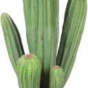 Artificial Cactus Fake Cacti 16" Faux Potted Cactus Plants for Home Store Office Decoration