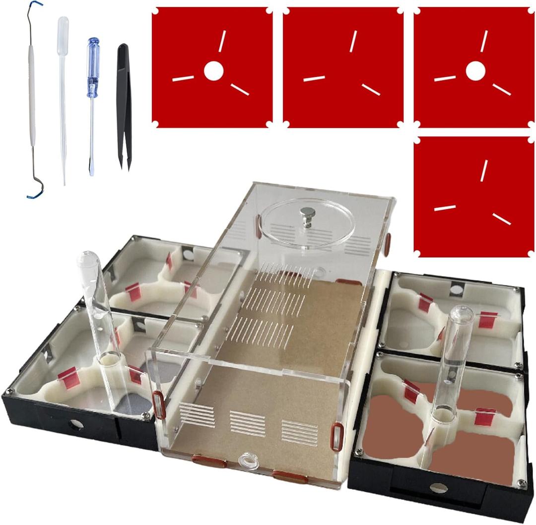 Ant Farm Nest Science DIY Terrarium Kit Care for Live Ants Ant Habitat with Water Tower Nurturing Room and Comprehensive Observation-Set 5