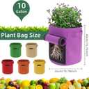 6 Pack 10 Gallon Potato Grow Bags with Flap, Potato Growing Bags Garden Planting Bag with Handle, Nonwoven Fabric Vegetables Grow for Potato Tomato Carrot Onion (10 Gallon)