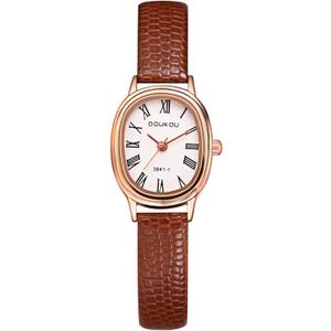 Avaner Women's Leather Wrist Watches: Ladies Classic Oval Face Slim Strap Analog Quartz Retro Watch (Brown)