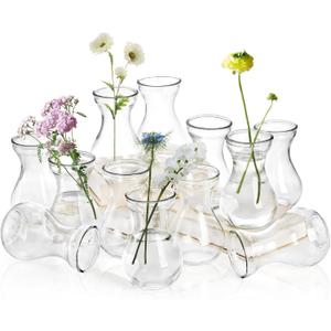 Set of 12 Glass Bud Vases for Centerpieces, Small Clear Vase for Flower, Glass Bud Vases in Bulk, Cute Tiny Flower Bulb Plant Containers for Home Decor, Wedding Party Table Centerpieces