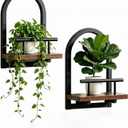 Amaoot Floating Shelves Set for 2, Wall Plant Holder Shelf, Wall Planters