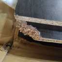 ClosetMaid Pantry Cabinet Cupboard with 2 Doors, Adjustable Shelves, Standing, Storage for Kitchen, Espresso