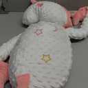 Baby Soothers Toys, Cute Animal Plush Stuffed Doll Toy for Girls Boys, Portable Dinosaur Unicorn Figure Soothing Dolls for Home and Travel (002, One Size)