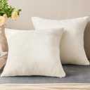 BEDELITE Velvet Pillow Covers 26x26 with Zipper, 2 Pack Super Soft Square Pillow Covers for Bedroom, Sofa, Couch,Luxury Cozy Fleece Pillowcases for All Seasons(26x26 Inches, Off White)