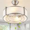 SYDACG 20" Caged Ceiling Fans with Lights, Silver Fandelier Ceiling Fan with Light, Boho Chandelier Fan Remote Control, 6 Speeds for Bedroom, Nursery, Living Room