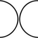 AppliaFit Tank O-Ring Compatible with Hayward DEX2400K for Micro-Clear DE, Pro-Grid DE, Super Star Clear and SwimClear Filters (2-Pack)