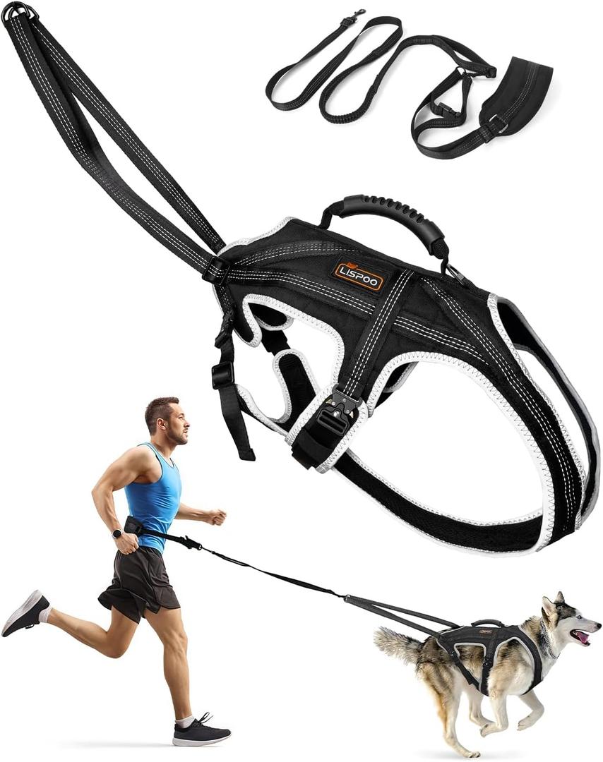 Dog Pulling Harness for Running, Skiing, Biking & Weight Pulling  Adjustable Sled Dog Harness with Leash & Waist Leash Attachment for Medium & Large Breeds (M)