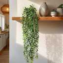 Artificial Hanging Plant 2 Pcs Faux Plant Ivy Vine Faux Eucalyptus Vines Fake Potted Greenery for Wall Living Room Home Shelf Office Bathroom Outdoor Indoor Decor (Type 1)