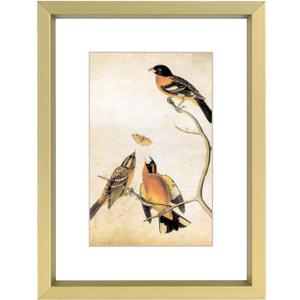 3x4 Picture Frame, Brass Metal Photo Frames with HD Glass, Fits 2x3 with Mat or 3 x 4 without Mat, Display for Wall and Table, 1 Pack