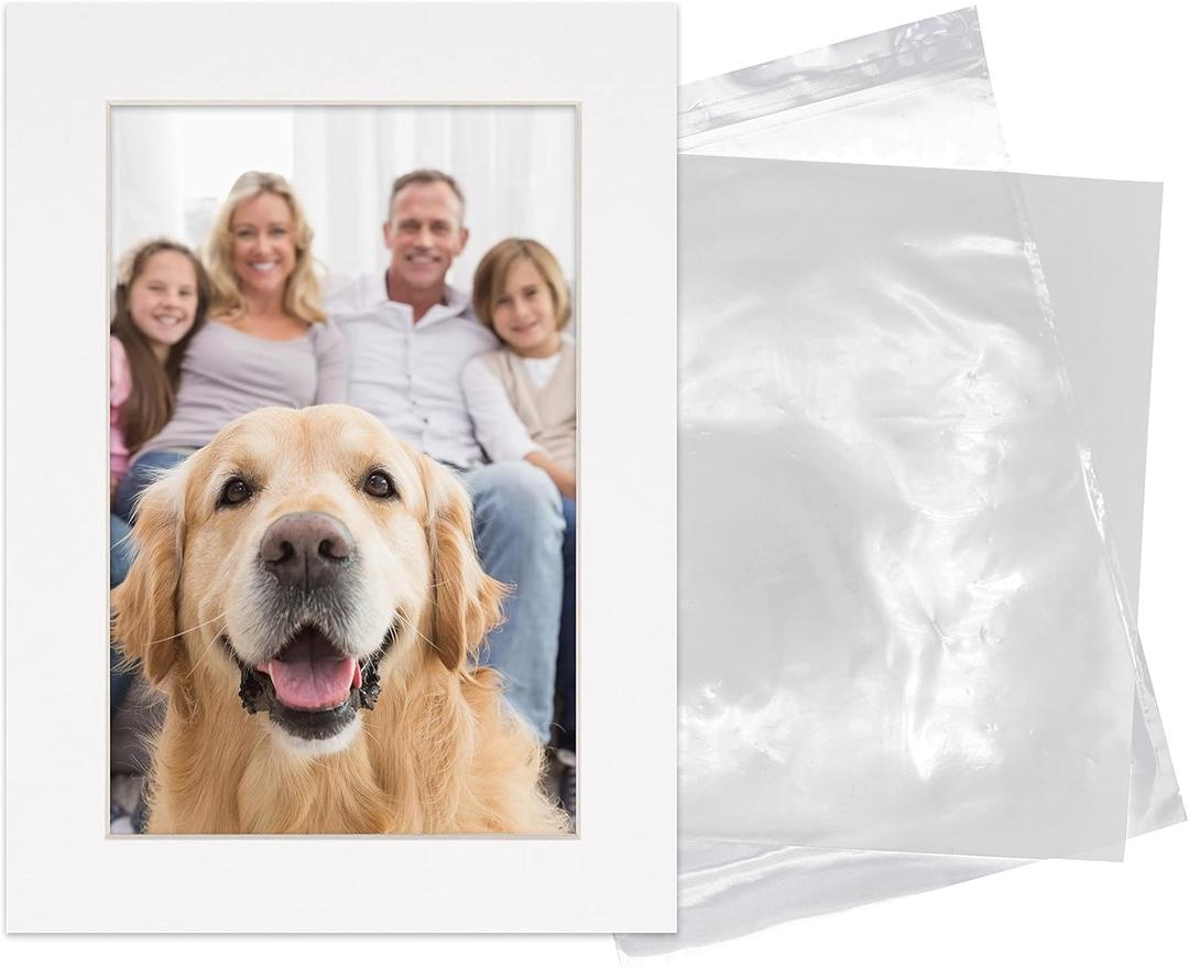 6x8 Mat for 8x10 Frame - Precut Mat Board Acid-Free Show Kit with Backing Board, and Clear Bags White 6x8 Photo Matte Made to Fit a 8x10 Picture Frame Matboard for Framing, Pack of 1 Mat (1-Mat w/ Backing & Clear Bag, Smooth White)
