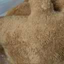 Dino Chicken Nugget Pillow Set 16in 3PCS (Medium)
