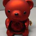 Cute Teddy Bear with Forever Preserved Real Rose,Eternal Flowers Elegant Rose Box with Teddy Bear Gift Card, Romantic Gift for Her in Valentine's Day, Mother's Day,Weddings (Red)