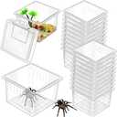 20 Pcs Insect Spider Terrariums Breeding Box Small Reptile Hatching Container Transparent Cricket Keeper Breeder Box Feeding Spider Cage with Lid for Scorpion Gecko Tortoise Centipede Tarantula