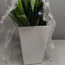 4.8FT Bird of Paradise Artificial Plant Indoor  Realistic Faux Tropical Tree with Cement Pot, Easy Care, Ideal for Home & Office Decor