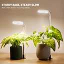 LBW Grow Light for Indoor Plants, Height Adjustable Plant Grow Lamp with Auto On/Off Timer 6/8/12/16H, 3 Colors,5 Dimmable Brightness, for Small Plants, White, 3 Packs