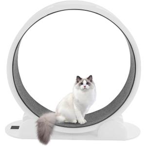 White Cat Running Wheel for Indoor Exercise and Play, Perfect for Active Cats