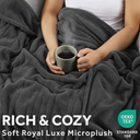 SUNBEAM MIVROPLUSH HEARER BLANKET TWIN