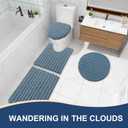 Arotive Luxury Bathroom Rugs 47x24, Extra Soft Thick Absorbent Shaggy Chenille Bath Rugs, Non-Slip Machine Wash Dry, Bath Mats for Bathroom Floor, Tub and Shower, Home Decor Accessories, Smoky Gray