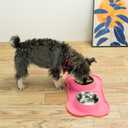 Stainless Steel Dog Bowls with Non-Slip Silicone Mat, Spill Proof Food & Water Bowls Set, Easy Clean Puppy Food Dish, Dishwasher Safe, Suitable for Dogs Cats Pet Under 20lbs, Medium, Pink (Medium-13 oz)