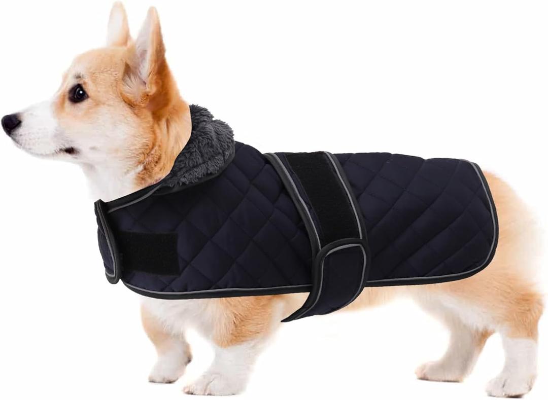 Geyecete Corgi Sweater for Dogs Warm Thermal Quilted Corgi Coat,Dog Winter Coat with Warm Fleece Lining,Outdoor Corgi Clothes Dog Apparel Navy-L