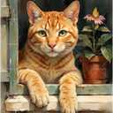 Pet Paint by Numbers Kit for Adults - DIY Orange Tabby Cat Painting on Canvas, Acrylic Paint Set, Suitable for Beginners, Excellent for Home Decoration or Gifts(16X20IN Framed)