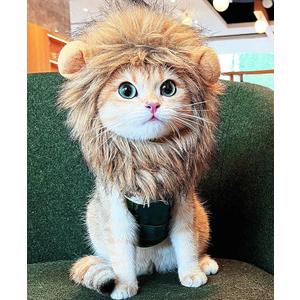 Lion Mane Wig for Cat, Funny Pet Cat & Puppy Costumes for Halloween & Christmas, Funny Pet Clothing Accessories (Medium, Black & Light Brown)