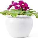 African Violet Pots 8 inch White Ceramic Easy Plant Self Watering Pot Ceramic Flowerpot with Water Absorbing Inner Pot Orchid Planter for Best Gifts Lawn Yard Outside Decor