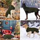 HEYWEAN Dog Winter Coat - Waterproof Windproof Reflective Vest for Medium & Large Breeds Adjustable Warm FleeceLined Jacket with Magic Tape & D-Ring for Leash Cold Weather Apparel (Green, Large)