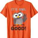 Funny I'ts Owl Good Birthday Gift Shirt for Owl Lovers T-Shirt S