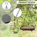 MIXXIDEA Hanging Bird Feeder Tray 11x11 Inches, Metal Mesh Platform Seed Feeder with Durable Chains for Outdoors Outside Great for Attracting Wild Birds, 1 Pack