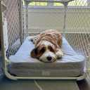 Orthopedic Memory Foam Dog Crate Bed, Headrest , XXL