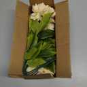 Artflower 10 Pcs Artificial Silk Dahlia Bouquet with Long Stem, 15” Champagne Fake Flower Floral Arrangements Wedding Bridal Bouquet for Autumn Thanksgiving Festival Table Centerpieces Home Decor