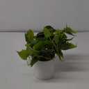 Waipfaru Faux Plants Indoor with Ceramic Pots, Realistic Small Fake Plants, Fake Plants with Pothos, Fake Potted Plants, Artificial Plant for Home Shelf Bathroom Kitchen Office Indoor Outdoor Decor