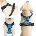 PHOEPET No Pull Dog Harnesses for Small Puppies Reflective Adjustable Front Clip Vest with 2 Metal Leash Attachment Hooks Soft Handle(XS, Blue)