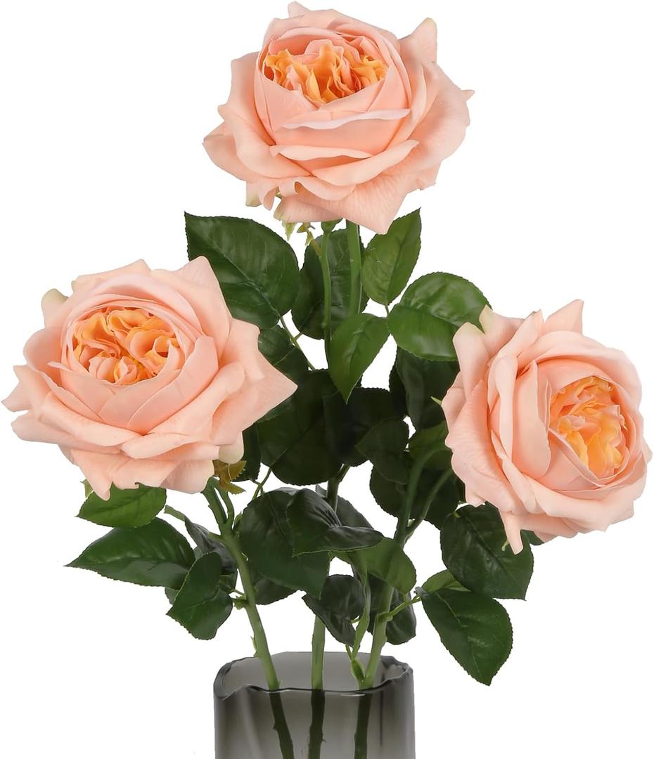 3PCS Real Touch Austin Rose Artificial Flowers 5.1" Large Rose Fake Flowers 23.62'' Long Stem Faux Peonies Flowers Arrangement for Wedding Home Kitchen Party Indoor Outdoor Decor(Champagne)