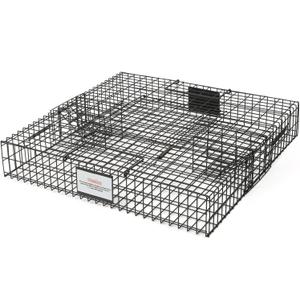 Squirrelinator Metal Wire & Heavy Duty, 2 Door Humane Live Squirrel Catch & Release Cage Trap, Holds up to 25 Squirrels, 1 Trap