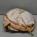 Tiny Land Kids Play Tent with Tunnel, Pop Up Play Tent with Ball Pits for Toddlers, Baby Tent with Carry Bag, Toddler Tents Indoor (Khaki)