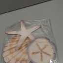 Novabright Coastal Sea Shell Wall Art Rustic Wooden Starfish and Sand Dollar Decor for Beach Theme Bathroom Bedroom Living Room Nautical Wooden Sign for Lake House Summer Home Decoration(Brown)
