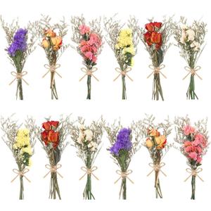 12/24 Pack Dried Flowers for Vase Various Mini Bouquet Dried Small Wildflowers Natural Real Flowers Bulk for Crafts DIY Wedding Decor (12, Forget Me Not)