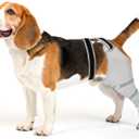 Sleeve for Dog Rear Leg to Stop Licking: Recovery Wrap After TPLO ACL Surgery, for Injured Back Legs, Alternative for Dog Cone for Leg Wounds (Light Grey)